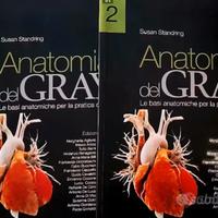 Anatomia del Gray [Vol. I e I] + Netter [Ult. Ed.]