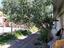 Immagine 26