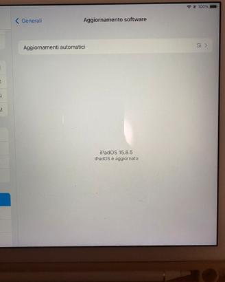 iPad Air 2 - 16 GB wifi/cellular