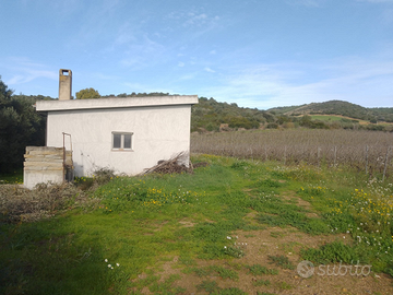 Terreno agricolo con casa e vigneto