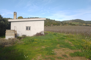 Terreno agricolo con casa e vigneto