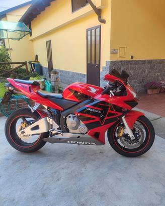 cbr 600rr 2003