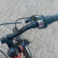 Bici Rollmar