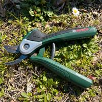 Bosch Cesoie Potatura EasyPrune Verdi