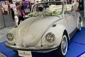 Maggiolone cabrio