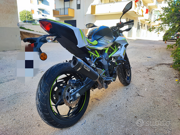 Kawasaki Z-125 Performance