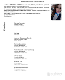 Banconista/ cameriera