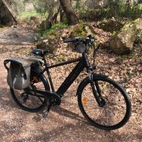 Ebike citybike