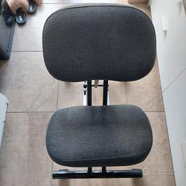 sedia ergonomica Ikea EIFRED