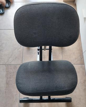 sedia ergonomica Ikea EIFRED