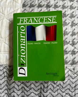 Dizionario francese
