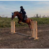 Doppio pony
