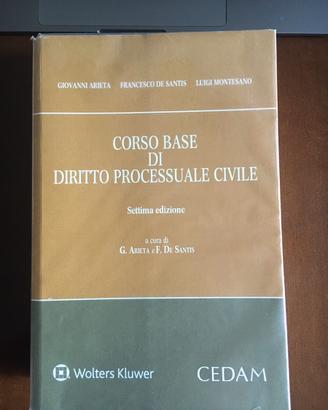 Diritto Processuale Civile