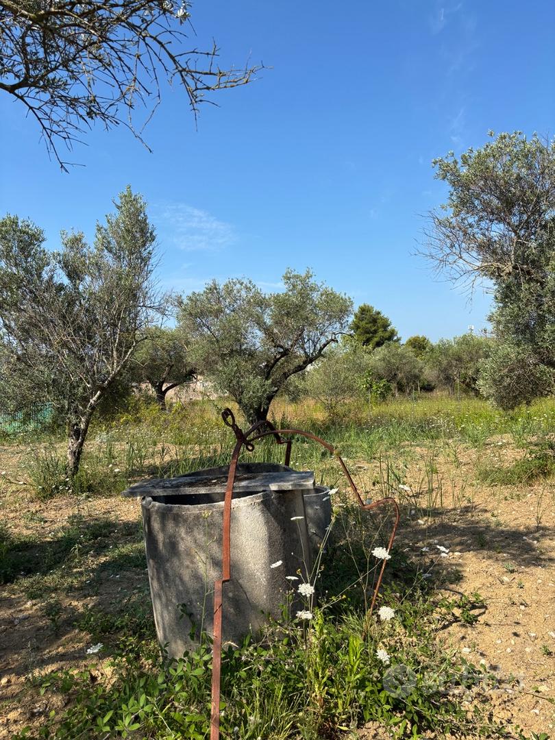 Terreno Agricolo Formia (Penitro) - Vista 2