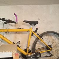 bicicletta Mountain bike 