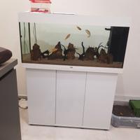 Acquario rio juwel 180