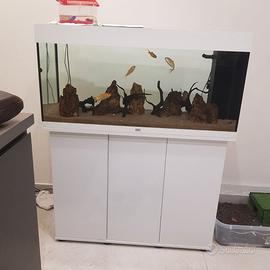 Acquario rio juwel 180