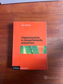 Organizzazione e comportamenfo economico