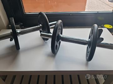 manubri e pesi domyos