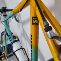 bianchi mega pro modello pantani