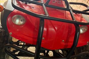 Quad adly 300