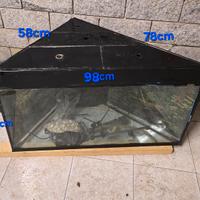acquario