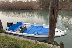 Open + Evinrude 40 cavalli