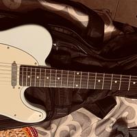 Sire larry Carlton T3