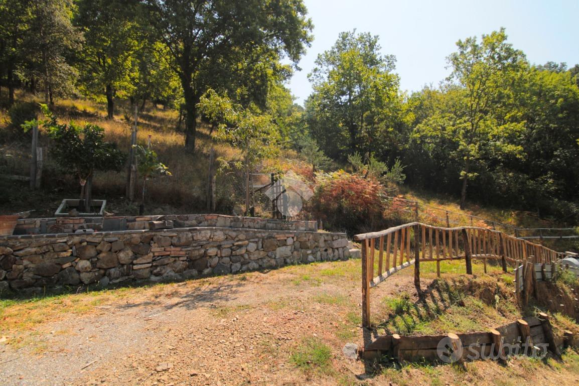 TER. AGRICOLO A TORRACA - Altro