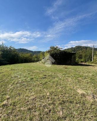 TER. AGRICOLO A SUBIACO