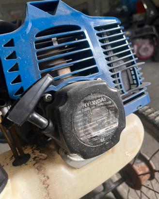 Tagliaerba Hyundai gommato