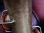 Immagine 3