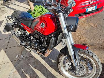 Benelli Leoncino 500 Trail 2023 + Accessori