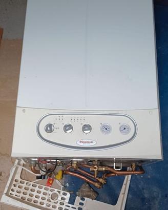 caldaia immergas ZEUS 24Kw