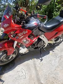 Aprilia pegaso cube 650