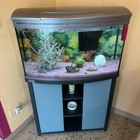 Acquario 120 lt