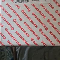 Estrattore caldaia immergas