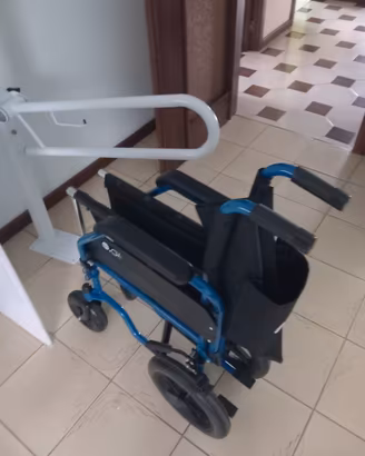 sedia a rotelle e maniglione bagno disabili