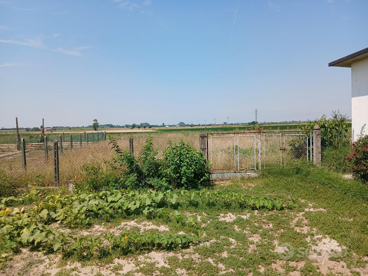 2 case, magazzino, piu' terreno - Vista 4