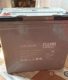 Batteria FIAMM AGM 12V 55A