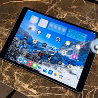 Ipad pro wifi + cellulare 256gb