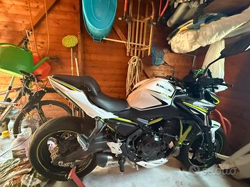 Kawasaki Z650 del 2020