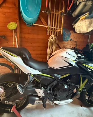 Kawasaki Z650 del 2020