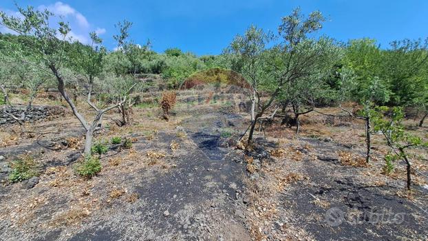 Terreno - Santa Venerina