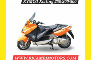 TERMOSCUDO KYMCO X-CITING