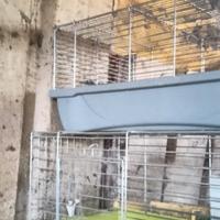 Gabbiette per conigli
