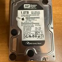 Hard disk Western Digital Black