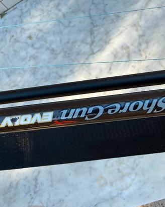 Palms shoregun evolve 30-100g Shimano saragosa