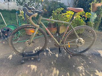 Bianchi orso
