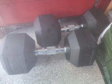 manubri palestra 16 kg